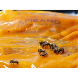 Apikandas su žiedadulkėmis - pyragas 1kg pyragas bitėms