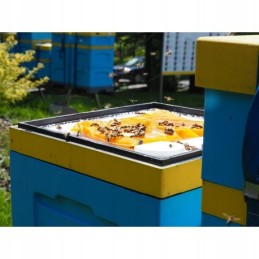 Apikandas su žiedadulkėmis - pyragas 1kg - maistas bitėms