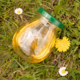 5x majonezo indelis 245 ml