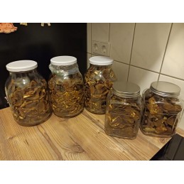 Stiklinis indelis 3 l 3000 ml