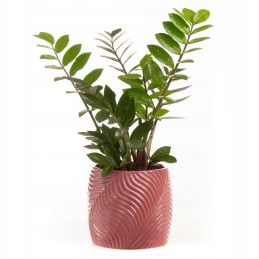 Keramika (fi) 22x20 cm rožinė