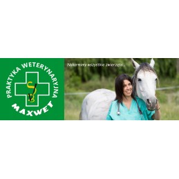 Pyragas bitėms 1kg honey bee pro protein