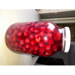 Stiklinis indas 4 l 4000 ml