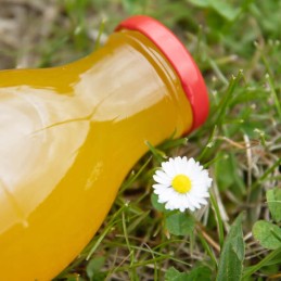 Dangtelio skersmuo 43 spalvos: