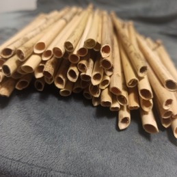 Ploni nendriniai vamzdeliai, nendrė pvz