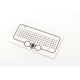 Lenkiški Opalitki – balti