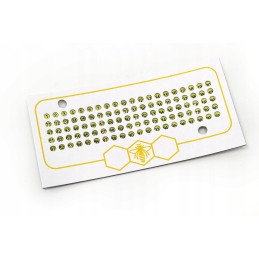 Lenkų Opalitki – geltona