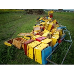 2x kampinis laikiklis su 3,5 m dirželiu.