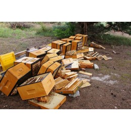 2x kampinis laikiklis su 3,5 m dirželiu.