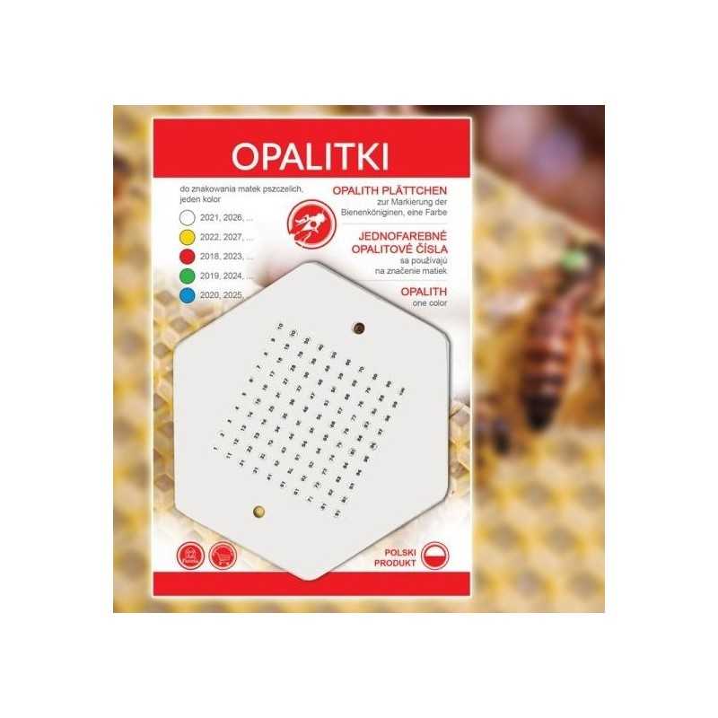 lenkų Opalitki