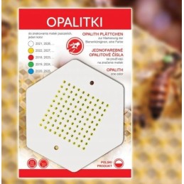 siūlome lenkiškus geltonus opaličius!!!!!!