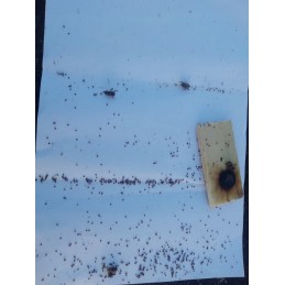 Oksalo rūgštis mirkytų glikemijos juostelių pavidalu