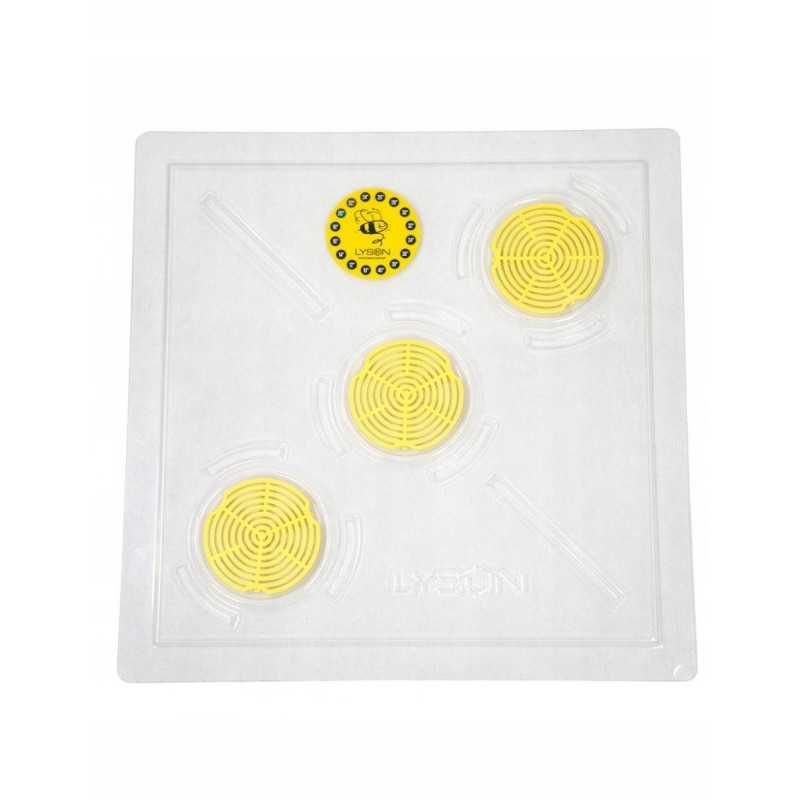 Skaidrus dangtelis, 10 kadrų dadant/12 kadrų Greater Poland