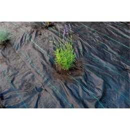 Agrotekstilė agrotekstilė nuo piktžolių pp juoda UV / 70g / 2,0 x 5 m