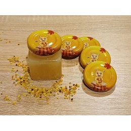 Rinkinį sudaro 24 vnt. 50 ml kvadratiniai stiklainiai su dangteliais