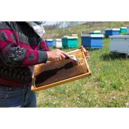 Atsegama šakutė su gumine rankena