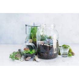 Stiklainis, 3l, 4vnt, su dangteliu, dozatorius