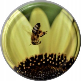 50 x dangteliai stiklainiams, skersmuo 82 mm