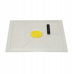 Powalka dadant 10 rėmelių permatomi su termometru