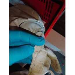 Siūlome bitininkavimo pirštines praplatintais riešais, odines su apdaila - labai geras lenkiškas gaminys!