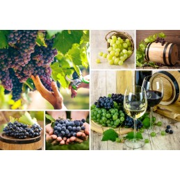 🍇_xDF47_ fermentacijos rinkinys: 33l kibiras + sandariklis + vamzdelis
