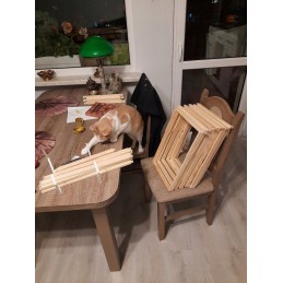 Varšuviški paplatinti rėmai, dažniausiai mediniai, aviliui, 10 vnt