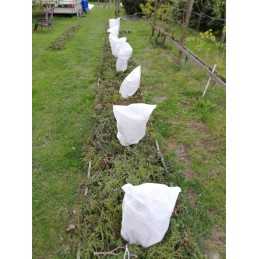 Žieminis apsauginis gaubtas medžiams ir krūmams 55x75 cm 1 vnt