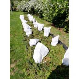 Žieminis apsauginis gaubtas medžiams ir krūmams 55x75 cm 1 vnt