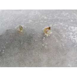 Žiemą dengianti agrotekstilė, balta, 3,2x5m, 50g, aww5032005