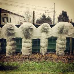 Balta agrotekstile 45g stipri lengva agrotekstile 1,6x10m rudens ziema