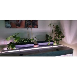 Balkona kaste puķupods sahara 39x17x14 antracīts