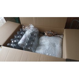 5l stiklinis indelis - su vaisių raštais