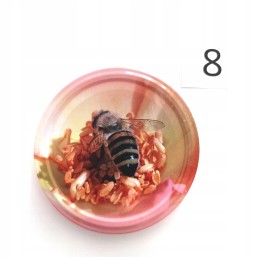 Dangteliai/dangteliai stiklainiams (ø82) medui! 100 vienetų! 6- kabliukai