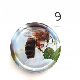 Dangteliai/dangteliai stiklainiams (ø82) medui! 100 vienetų! 6- kabliukai