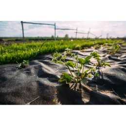 Jūsų mulčiuojamas neaustinis audinys 1,6 m x 5 m