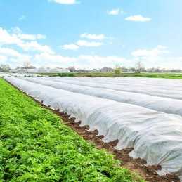 Žiemą dengianti agrotekstilė 17g/m2 ritinys