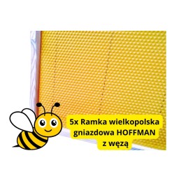 Didžiosios Lenkijos lizdo rėmai iš fv hoffman žarnos, Didžiosios Lenkijos rėmas