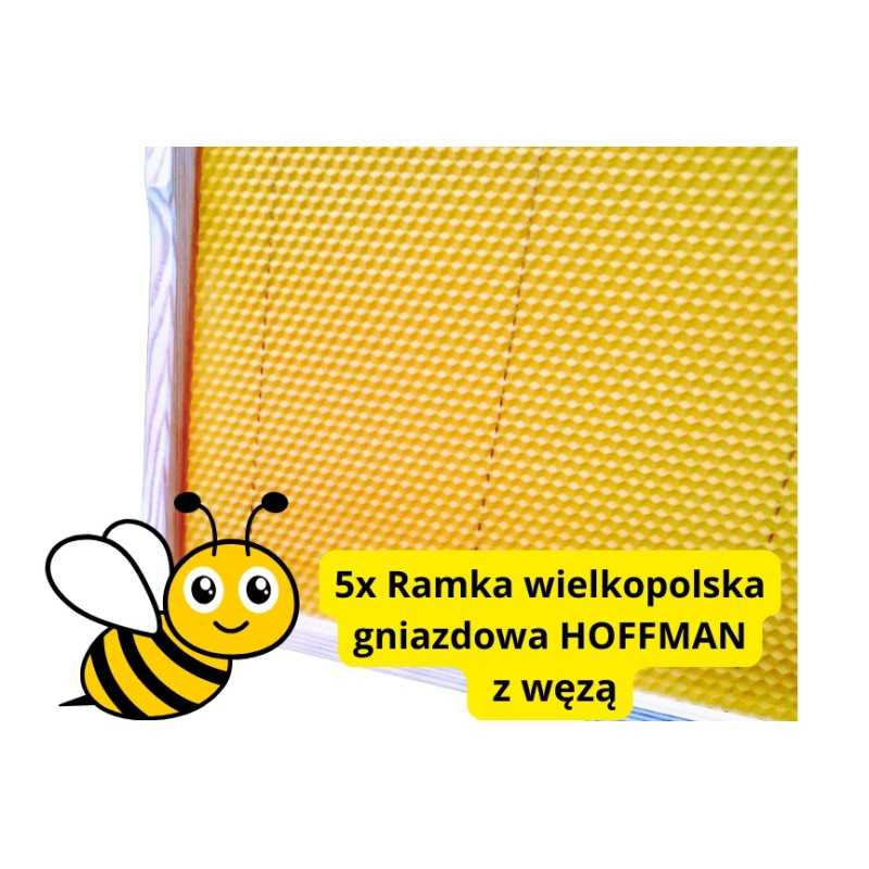 Didžiosios Lenkijos lizdo rėmai iš fv hoffman žarnos, Didžiosios Lenkijos rėmas