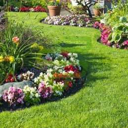 Savybės ir privalumai: