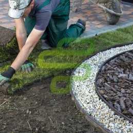 Savybės ir privalumai: