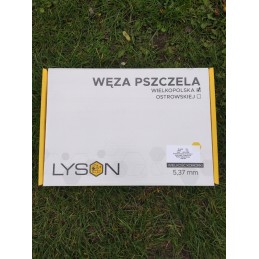 Varšuvos praplatinta žarna - 1kg łysoń