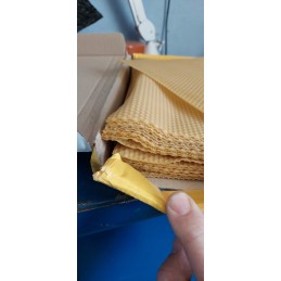 Didžiosios Lenkijos gyvatė 1kg