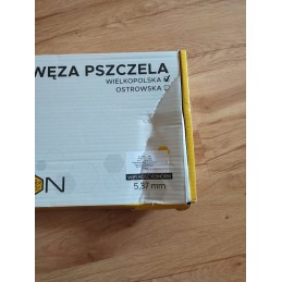 Didžiosios Lenkijos gyvatė