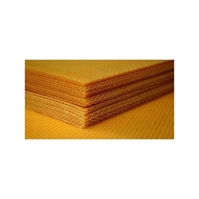 Didžiosios Lenkijos gyvatė 1kg