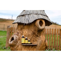 Apibiofarma® 1l