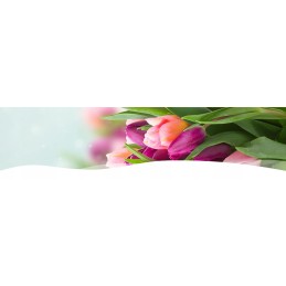 Agrimpex | agrotekstilė dviguba agro ritinėlis 0,8 x 5m