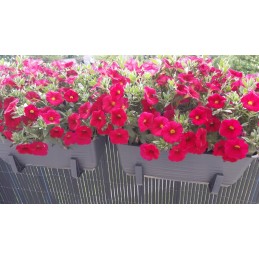 Sahara 40 balcony box with base - anthracite