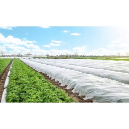 Danga agrotekstilė balta spyruoklė uv 20g/m2 1,6m x 20m