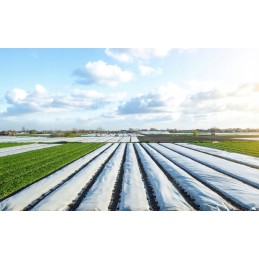 Danga agrotekstilė balta spyruoklė uv 20g/m2 1,6m x 20m