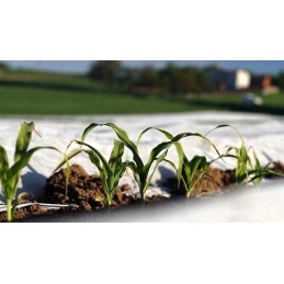 Pavasarinė agrotekstilė p-17 balta 3,2x5m biovita